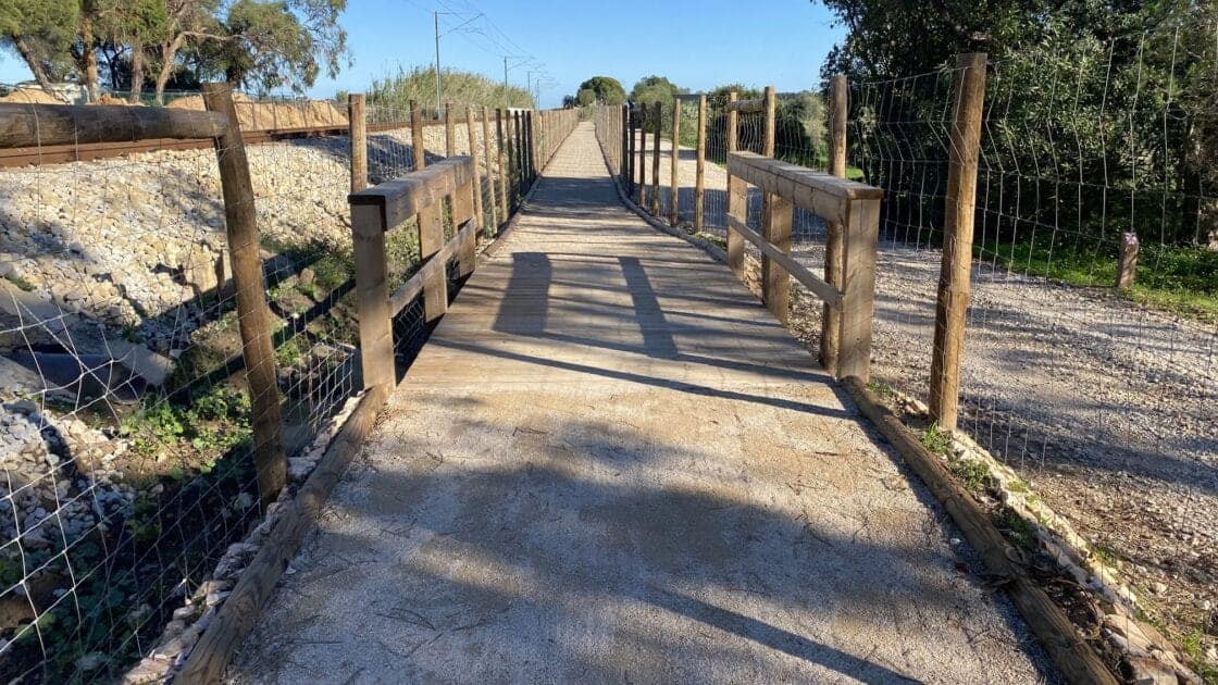 Ponte de madeira em caminho rural ensolarado.