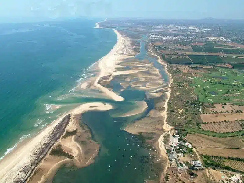 Zonas de produção de bivalves algarvias passam a ser (quase) todas de classe «B»