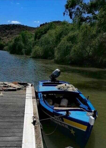 Salgueiros do Guadiana