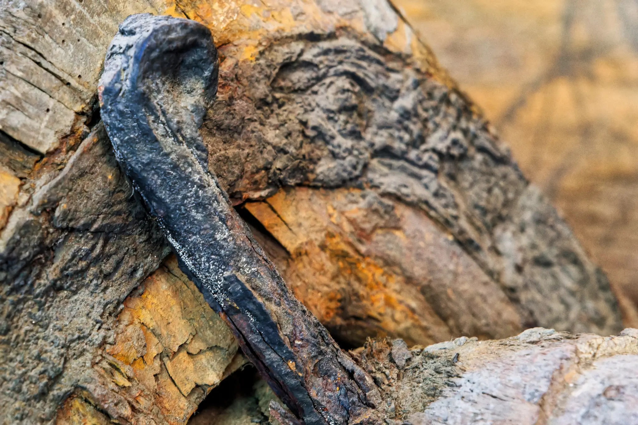 A close up of a piece of wood with a hammer sticking out of it