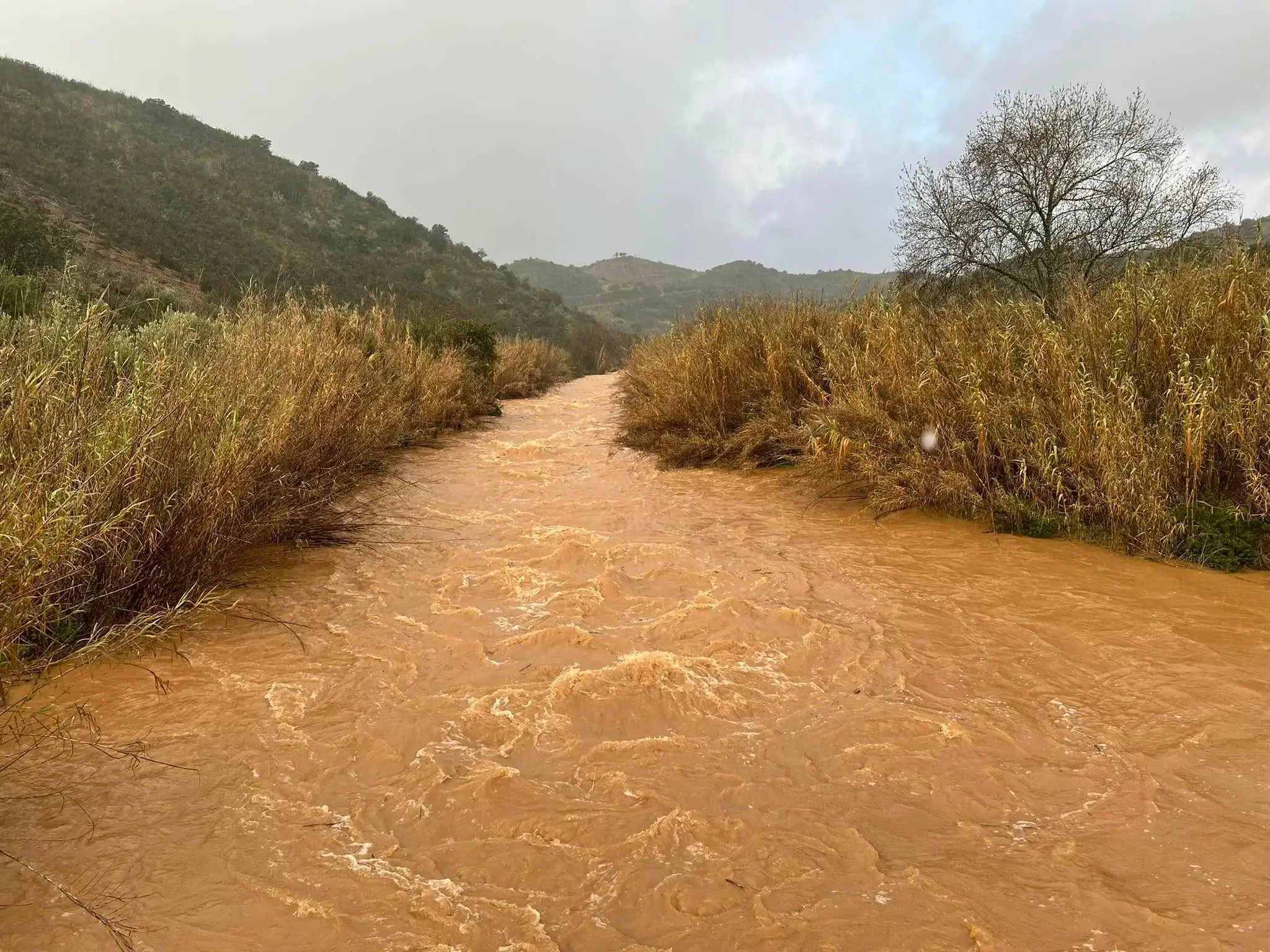 Ribeira do Curral do Telhhado, Freguesia de Vaqueiros